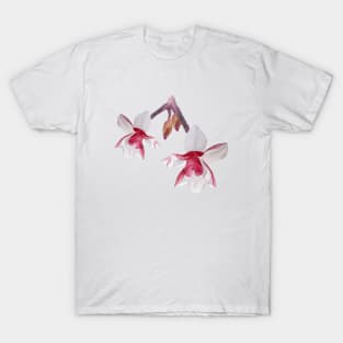 magnolia flower watercolor drawing T-Shirt